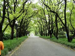 -西郊宾馆·1921餐厅