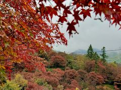 -四明山国家森林公园