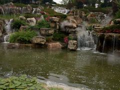 -秀丽东方