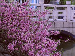 -东华大学(松江校区)