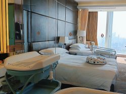 -大美母婴月子专护中心(紫峰店)