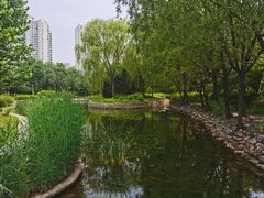 -望湖公园