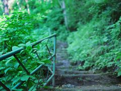 -百里山水画廊