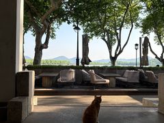 -青竺·青竹茶舍(断桥店)