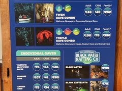 -怀托摩萤火虫洞