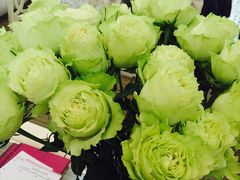 -成桂西餐厅·42年的味道(五大道疙瘩楼店)