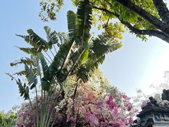 -深圳国际园林花卉博览园