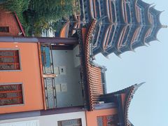 -铁山坪森林公园