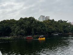 -荔湾湖公园