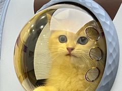 -拜鲁耶动物诊疗中心·宠家动物医院