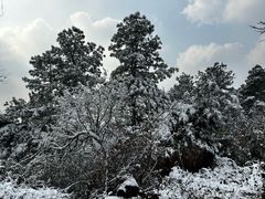 -敬亭山风景名胜区