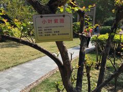 -晓港公园