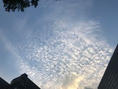 -高第街56号港式餐厅·精选(世茂广场宽厚里大明湖店)
