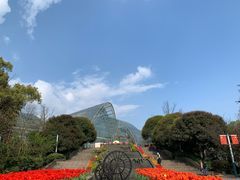 -南山植物园