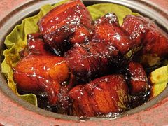 -佬肥猫(七宝宝龙店)