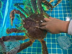 -震海贝烤贝·民俗特色店(延吉总店)