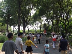 -昆山城市生态森林公园