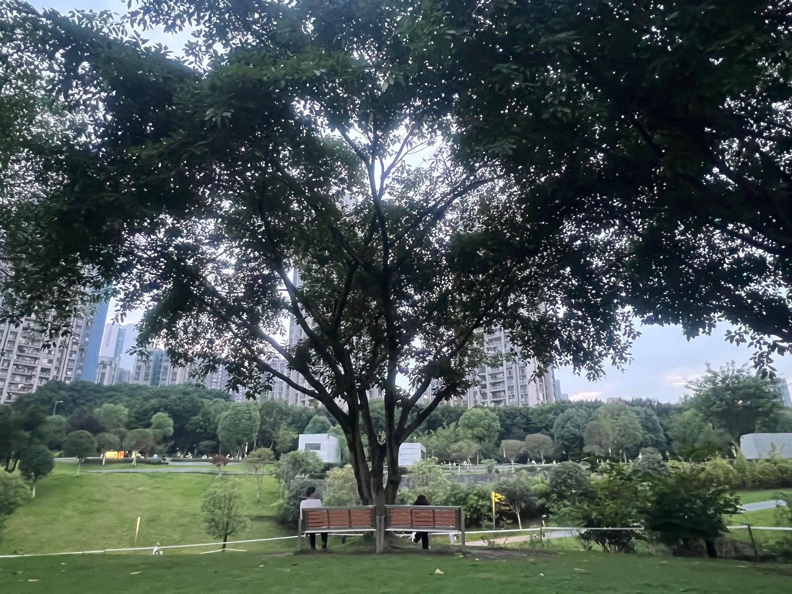 动步公园 去第一次就爱上了