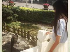 -北京市海淀外国语实验学校