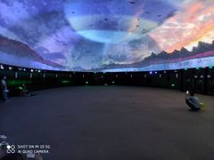 -花之城