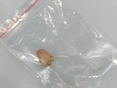 -维乐口腔(格林门诊长宁店)