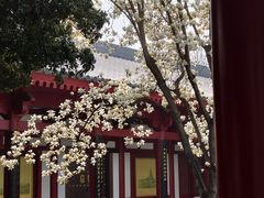 -大慈恩寺(大雁塔)