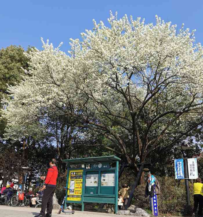 延春公园-"杨浦区比较老的一个公园,知名度不高. ."-大众点评移动版
