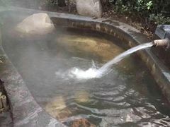 -西安国际创新人才交流中心•药浴温泉