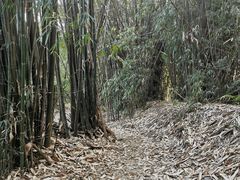 -清远鱼水旅游风景度假区