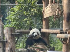 -黔灵山公园