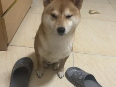 -重庆商社大厦