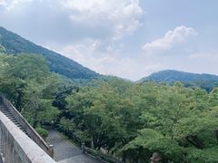 -有栖山 清光院 清水寺