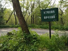 -紫金山山顶公园
