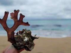 -白沙湾海滩