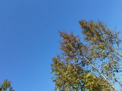 -牛岗山公园