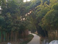 -堤角公园