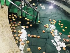 -南宫温泉水世界