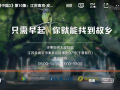-老太皮肚面