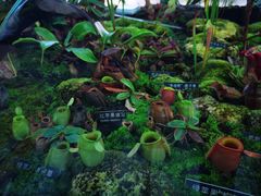 -国家植物园南园