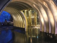 -迪拜帆船酒店海底餐厅