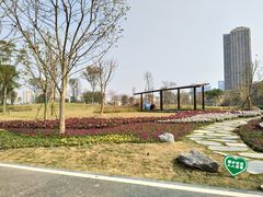 -府河摄影公园