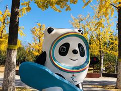 -永定河休闲森林公园