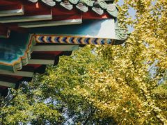 -阅江楼风景区