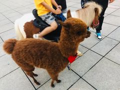 -汇德隆银隆