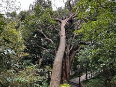 -草庵摩尼教遗址公园