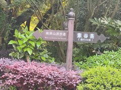 -九曜山