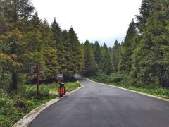 -山王坪喀斯特国家生态公园