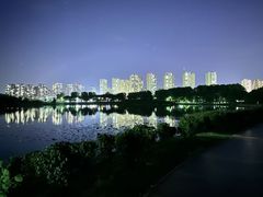 -丁香湖公园