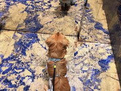 -厦门途易蓝罗约海景温泉酒店(园博苑地铁站店)