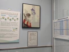 -纳吉亚猫专科动物诊疗中心(蒋宅口分院)